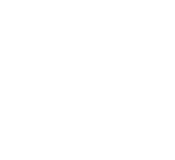 logo dark version